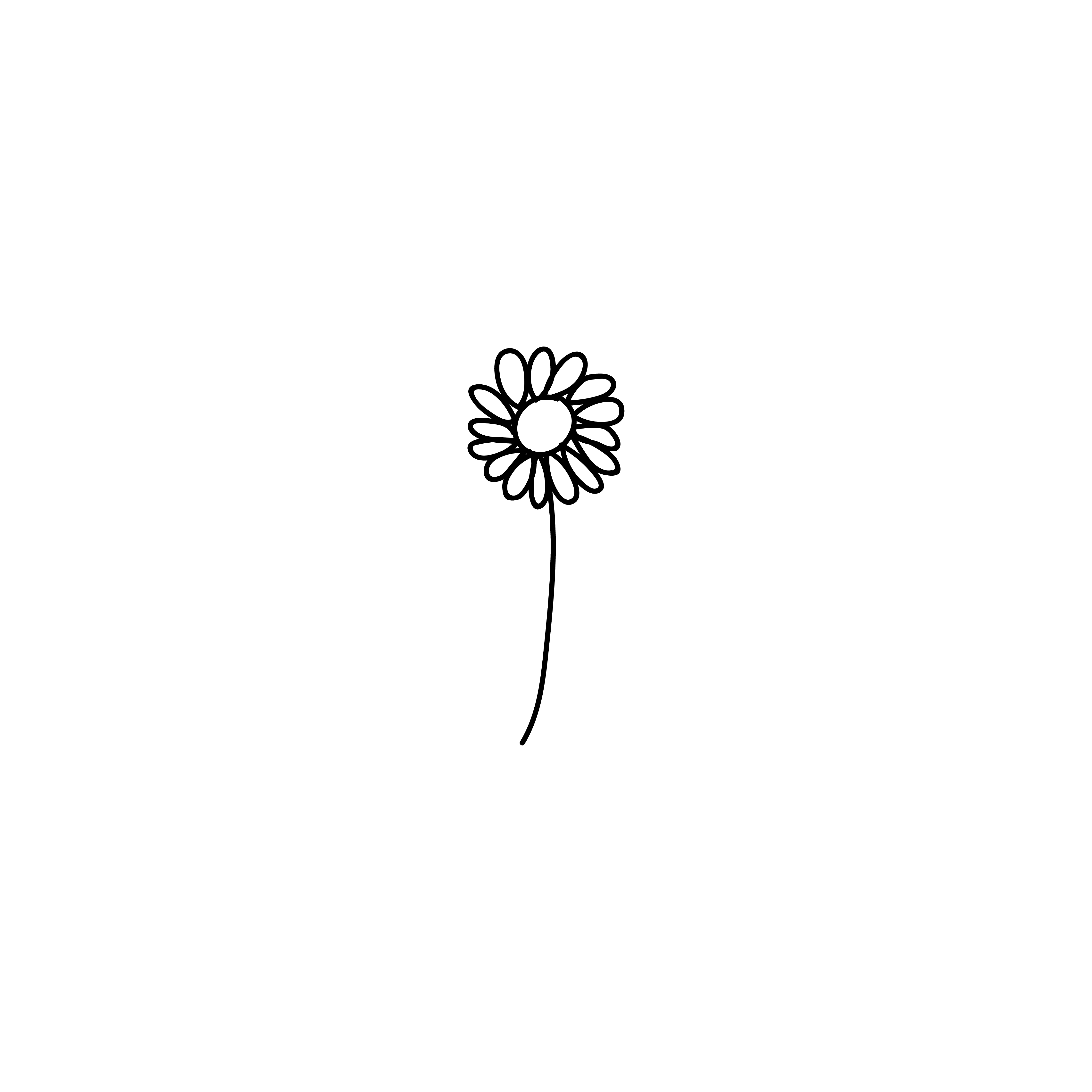 AFFIRMATION.